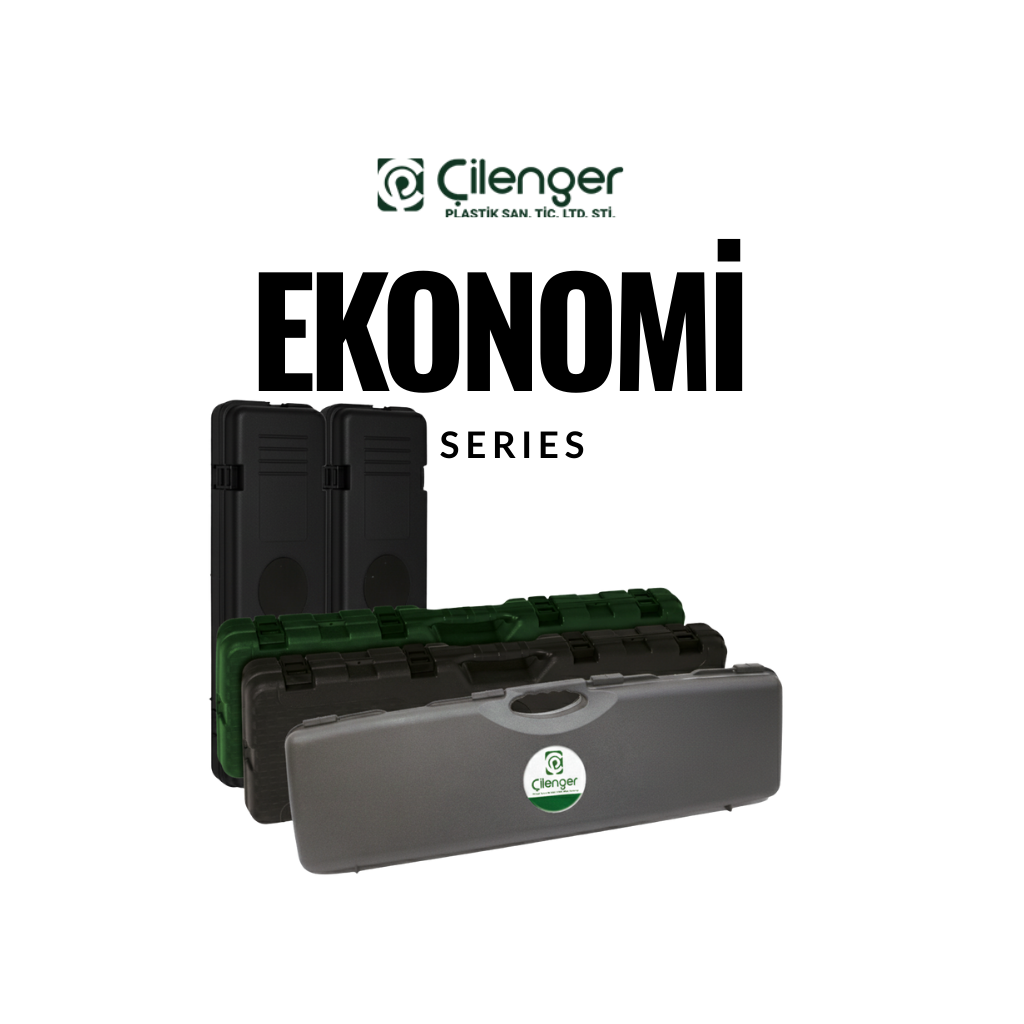 Ekonomi Serisi